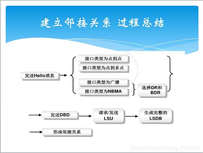 建立邻接关系过程总结