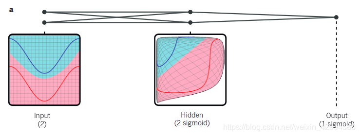 多层神经网络（由连接的点表示）可以使输入空间失真，使得数据类（其示例在红线和蓝线上）可线性分离。 请注意输入空间中的常规网格（如左侧所示）也是如何通过隐藏单位转换（在中间面板中显示）。 这是仅具有两个输入单元，两个隐藏单元和一个输出单元的说明性示例，但是用于对象识别或自然语言处理的网络包含数十或数十万个单元