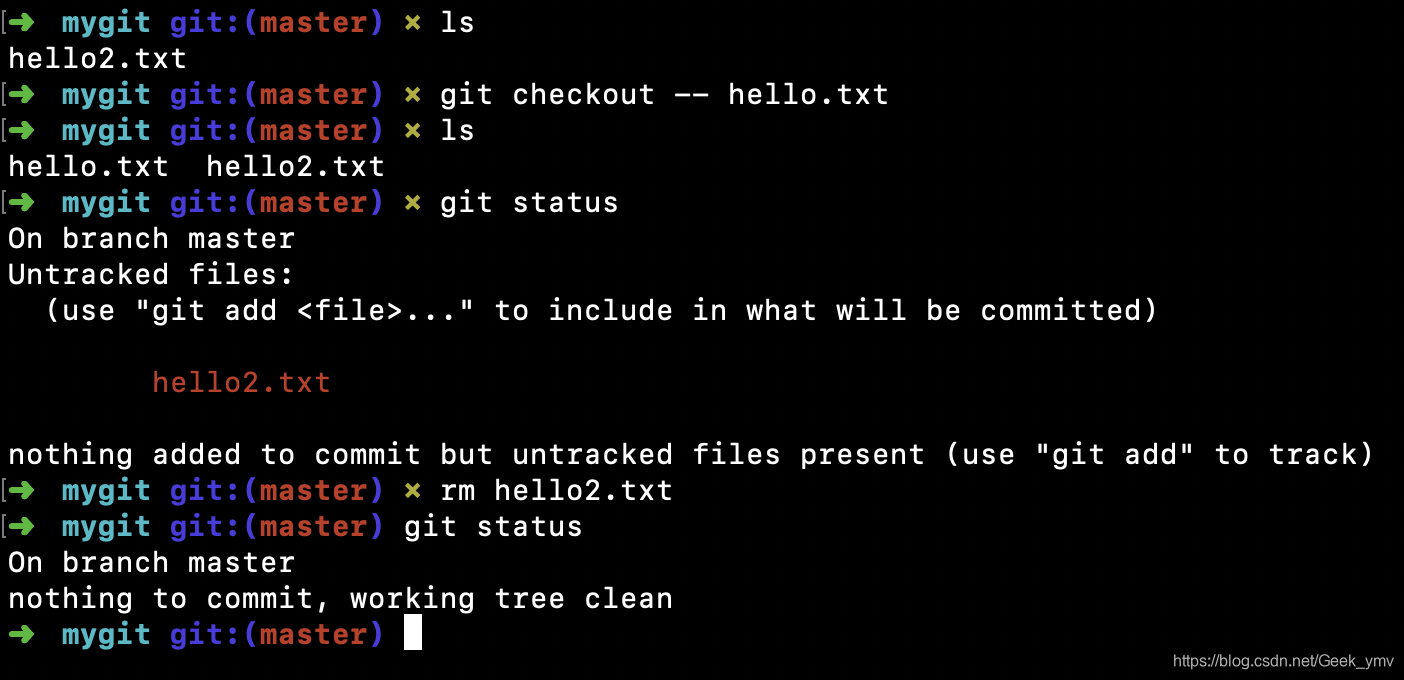 git checkout