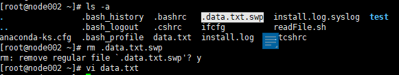 found a swap file by the name .swp