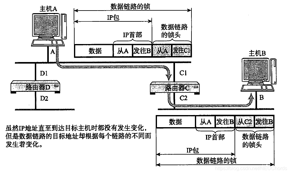 MAC地址与IP地址的作用不同