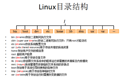 Linux的目录结构