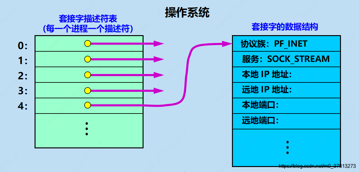 调用socket创建套接字