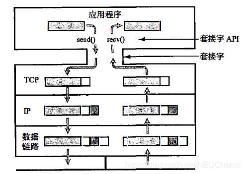 套接字