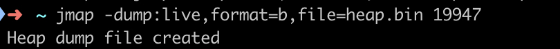 jmap -dump:live,format=b,file=heap.bin