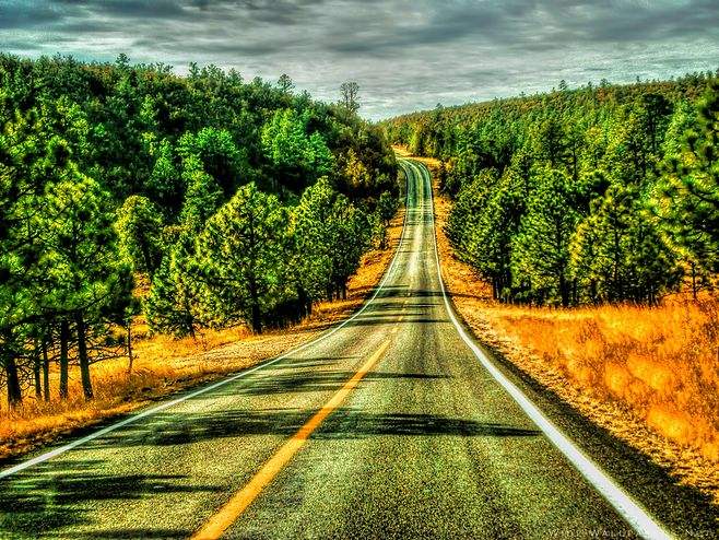 Дорога вперед. Фон с дорогой. Светлая дорога. Движение дорогами вверх. Дорога вверх.