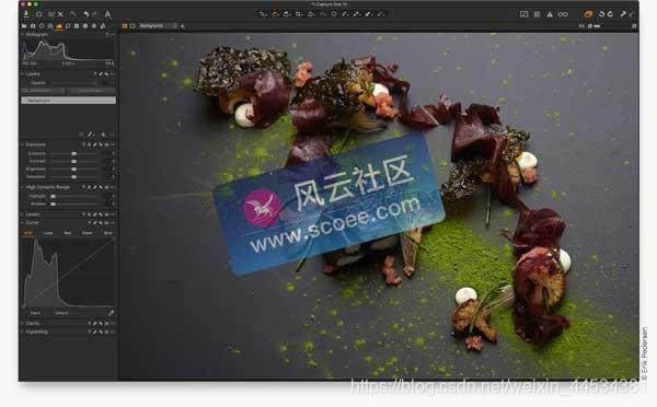 【专业的图像后期处理软件】飞思 Capture One 12.1 for Mac