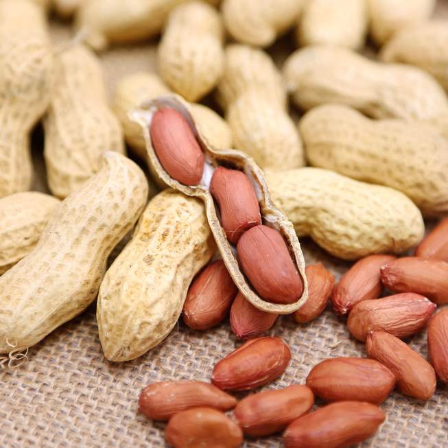 Соя в крови норма у женщин 50 лет норма таблица. Норма эозинофилы в крови у взрослого. Соя фаворит сербия. Сои 42. Показатели соэ в крови норма у женщин.