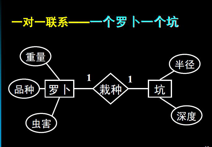 mysql第三天實體與實體的關係