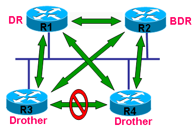 ospf_dr_drother