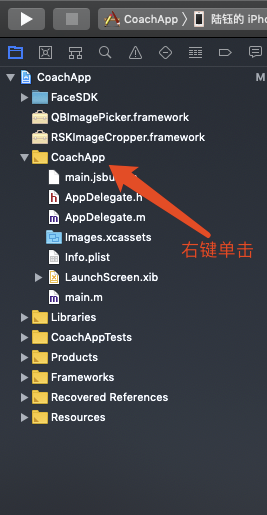 react native 接入百度ai活體檢測,人臉識別 ios版本