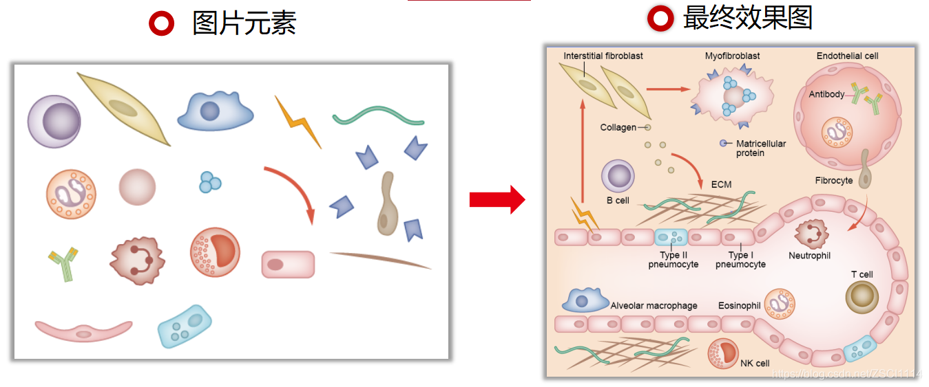 一张图胜过1000字,高分文章里的分子机制图教程都在这里了~_是Tt .的博客-CSDN博客
