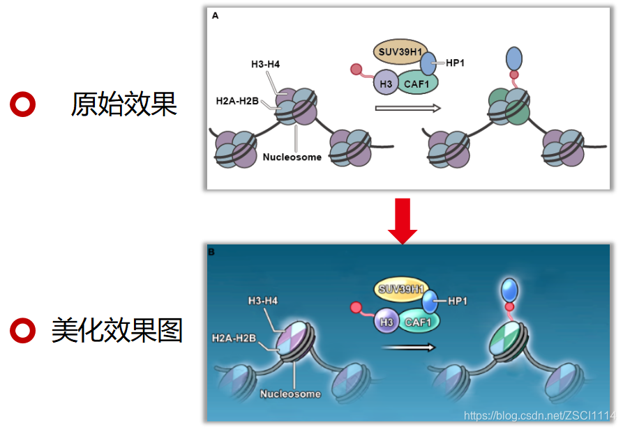 一张图胜过1000字,高分文章里的分子机制图教程都在这里了~_生物机制图怎么画_是Tt .的博客-CSDN博客