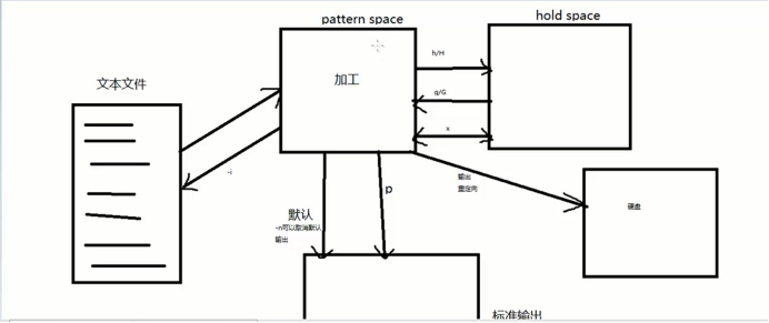 shell脚本中的sed命令用法_shell sed -n-CSDN博客