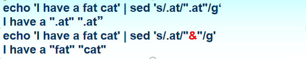 shell脚本中的sed命令用法_shell sed -n-CSDN博客