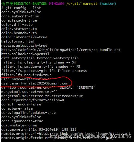 fatal: Authentication failed for 'https://github.com/whitesunflower ...