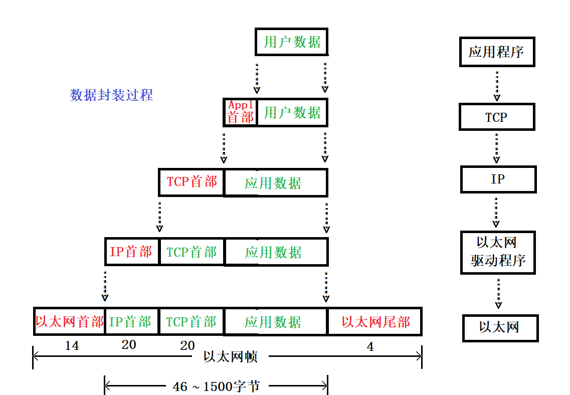 不同的协议层对数据包有着不同的称谓,在传输层叫做段,在网络层数据报