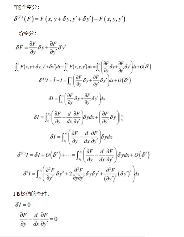 变分法,欧拉