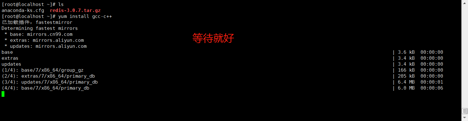 install wget install wget