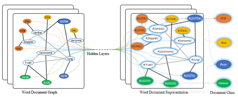 Text GCN Graph