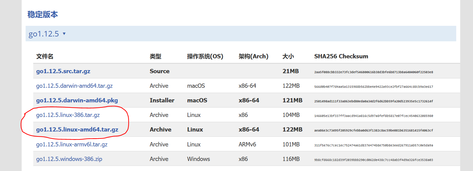 Ubuntu 下配置go Vscode开发环境 秒带飞 附所有插件工具下载地址 U的博客 Csdn博客