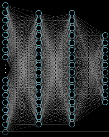 神经网络的结构