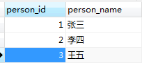 person表