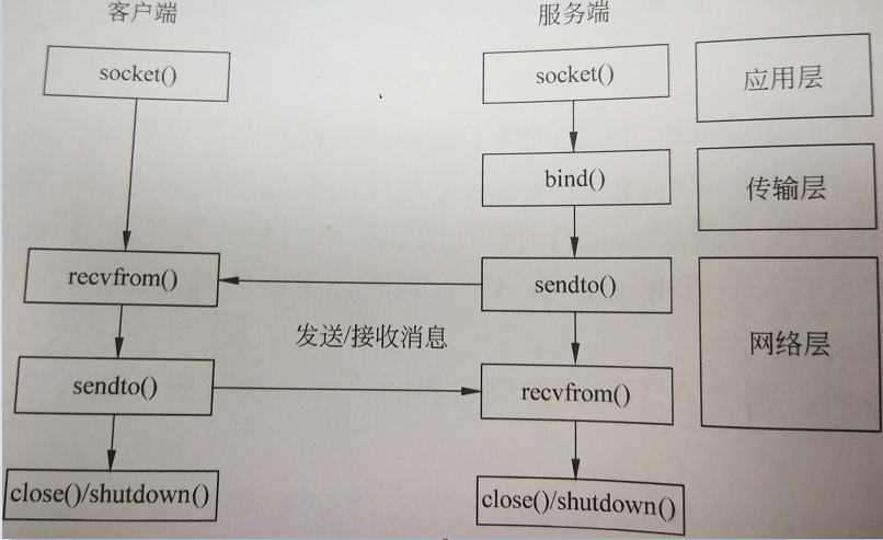 type, int optiondomain 