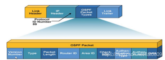 OSPF message format