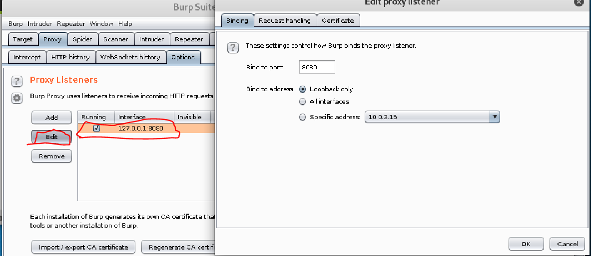 burp suite kali manually send request mode