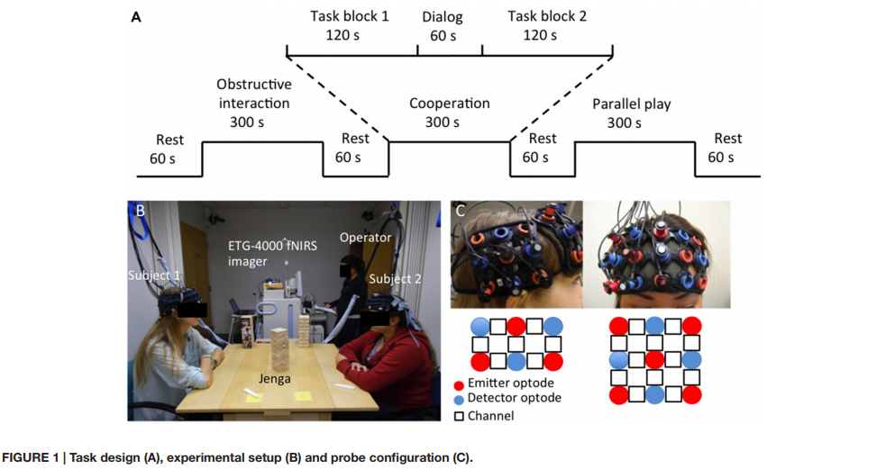 基于近红外光谱的超扫描技术揭示了在面对面交流的协同Jenga游戏中的脑内神经同步