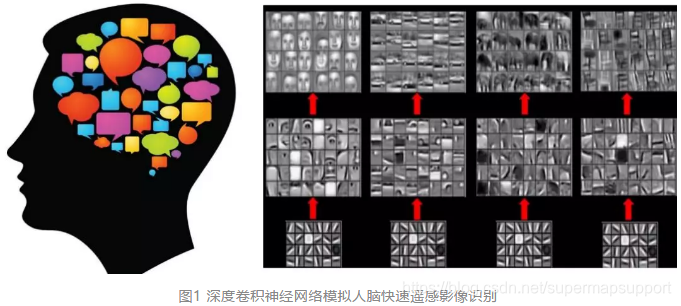 图1 深度卷积神经网络模拟人脑快速遥感影像识别