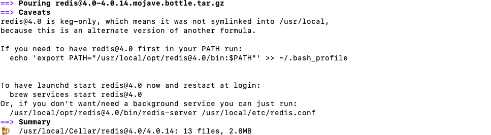 Brew redis start up page