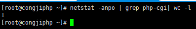 netstat -anpo | grep "php-cgi"| wc -l