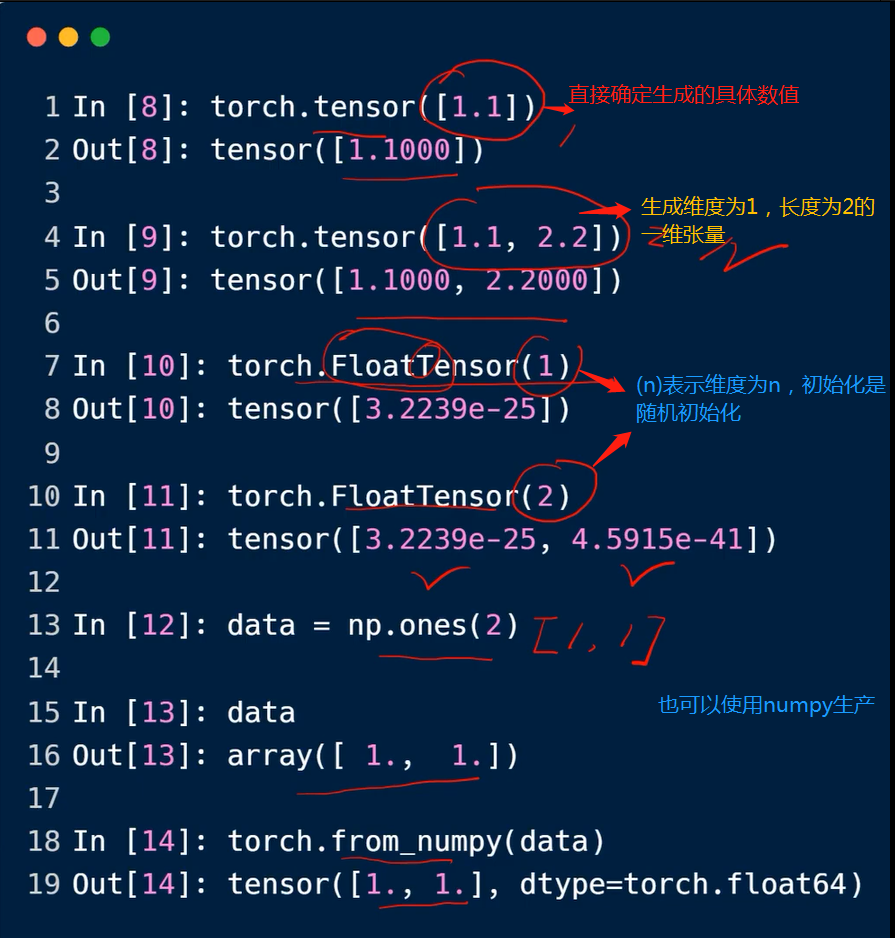 维度为1的张量创建方法