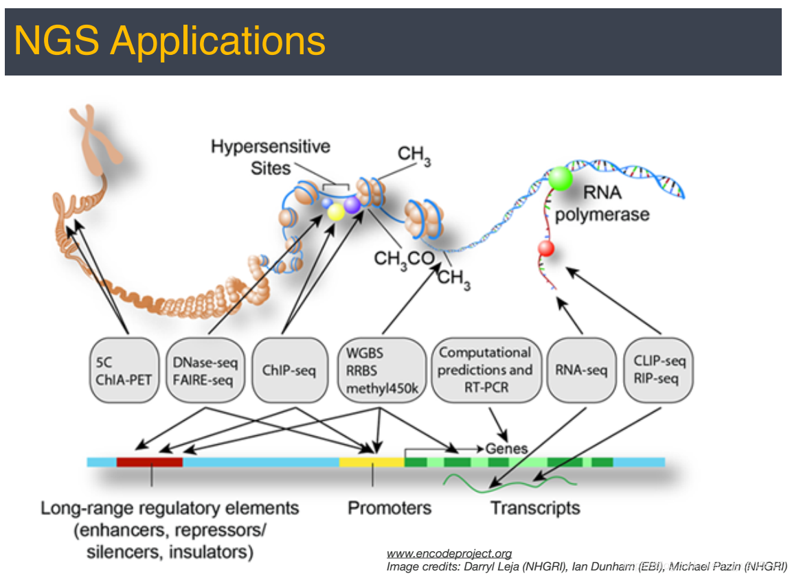 2019/07/11_NGS Data Analysis Course (Harvard Chan Bioinformatics Core ...