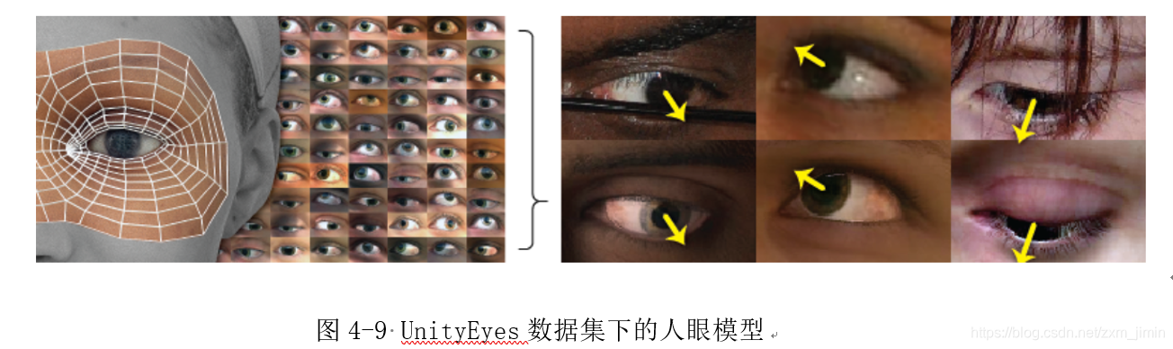 图4-9 UnityEyes数据集下的人眼模型