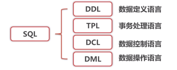 常见的SQL语句类型