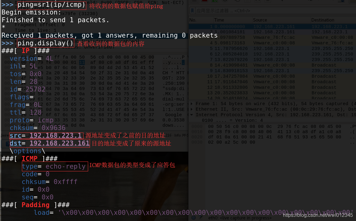 渗透测试技术----主动信息收集(二)--三层发现(ping、traceroute、fping、hping3、scapy)