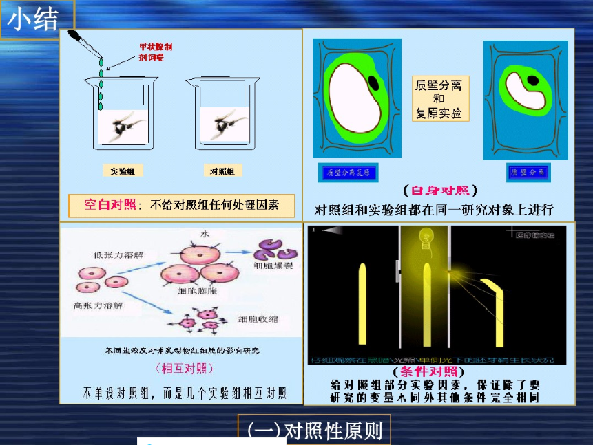 实验中应该遵循的几个原则_实验原则-CSDN博客