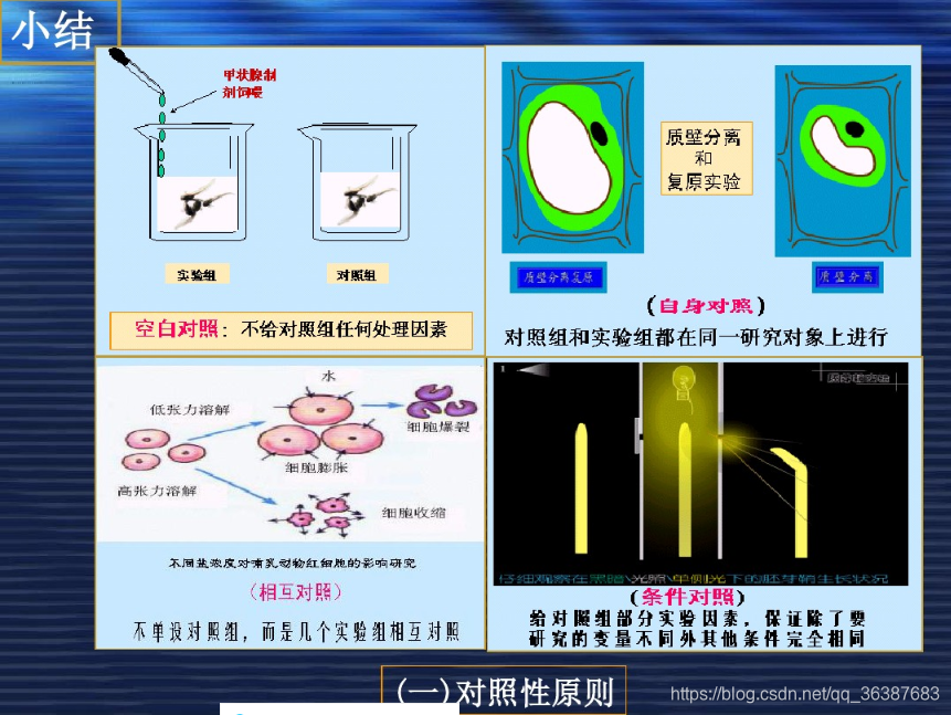 实验中应该遵循的几个原则_实验原则-CSDN博客