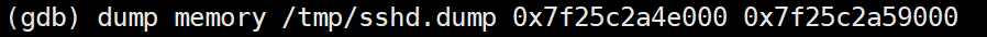 Linux中使用gdb dump内存第3张
