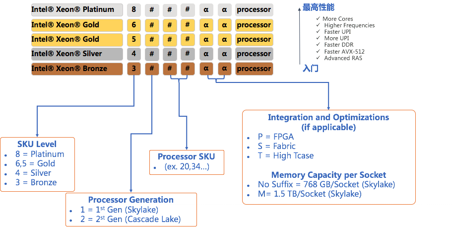 注：最后两位 α 标识以 Intel 实际发布 Cascade Lake 参数为准。