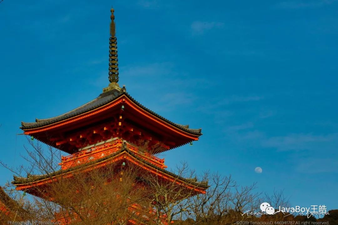 Java Collection框架(一)Iterable与Spliterator_iterable spliterator-CSDN博客