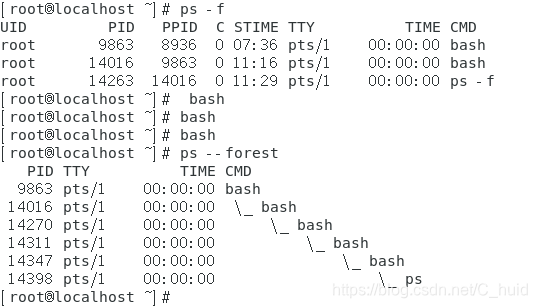 Bash Shell 脚本基础_bash解释shell脚本的关键-CSDN博客