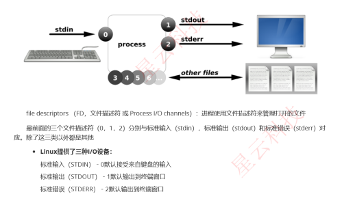 在这里插入图片形貌