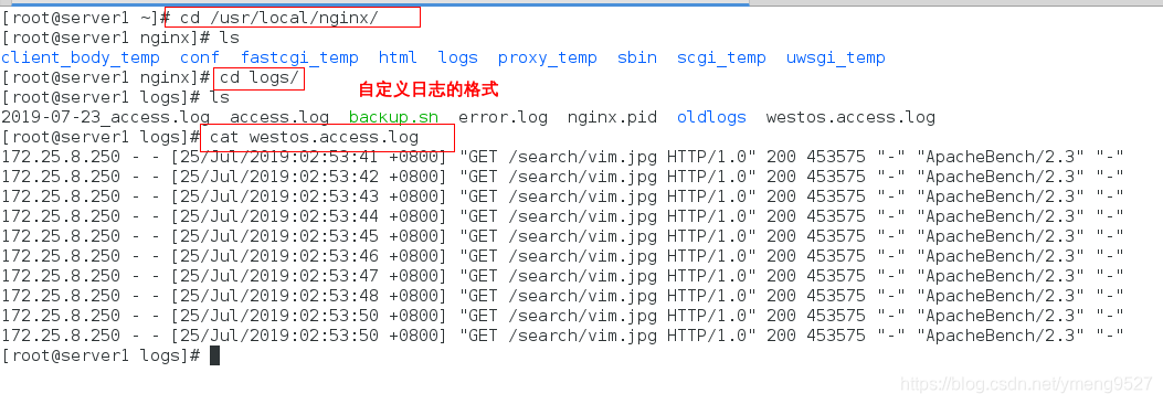 nginx的配置——自定义日志的格式