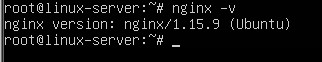 检测Nginx安装是否成功