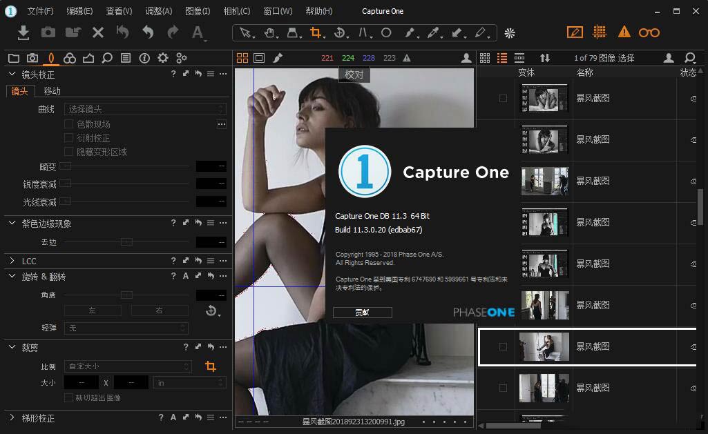 飞思RAW软件CaptureOnePro11.3中文版CaptureOnePro11.3WinMac